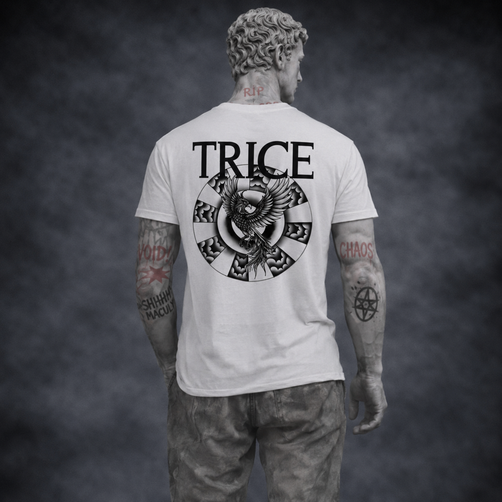 Oversized T-Shirt | Trice of the Phoenix | Changes Lente Collectie 2026