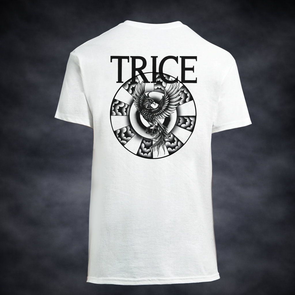 Oversized T-Shirt | Trice of the Phoenix | Changes Lente Collectie 2026