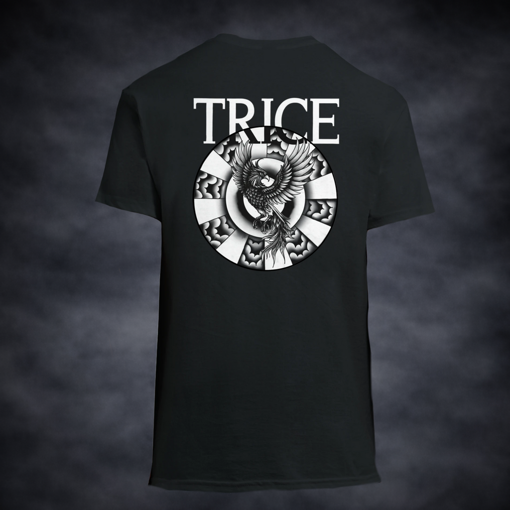 Oversized T-Shirt | Trice of the Phoenix | Changes Lente Collectie 2026